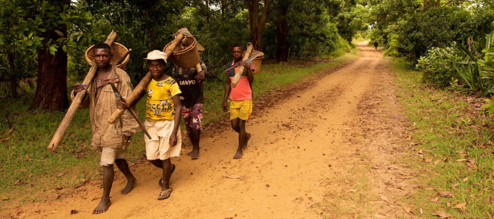 Land & Livelihood Development